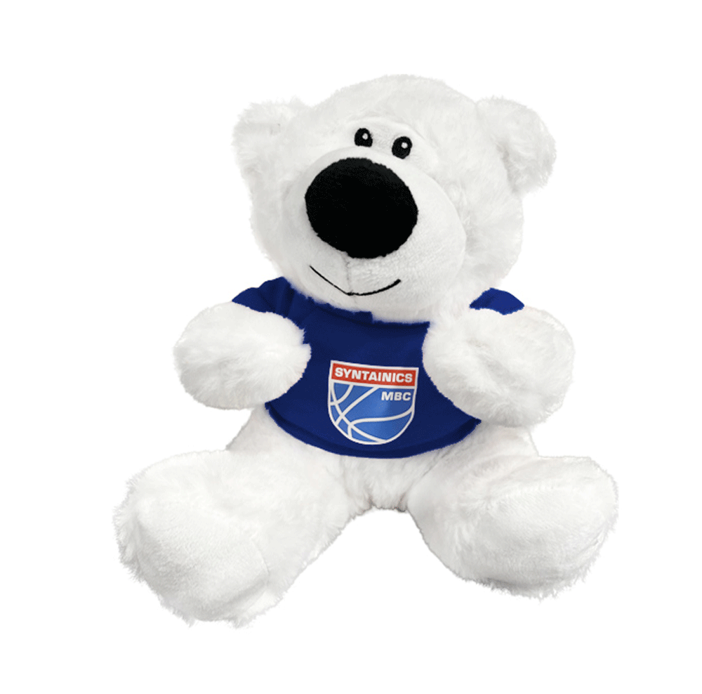 Teddybär mit Trikot