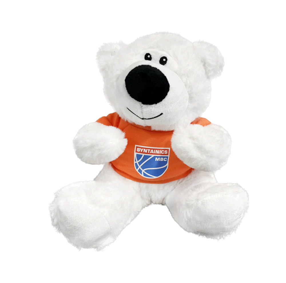 Teddybär mit Trikot